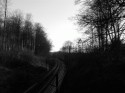 Tracks